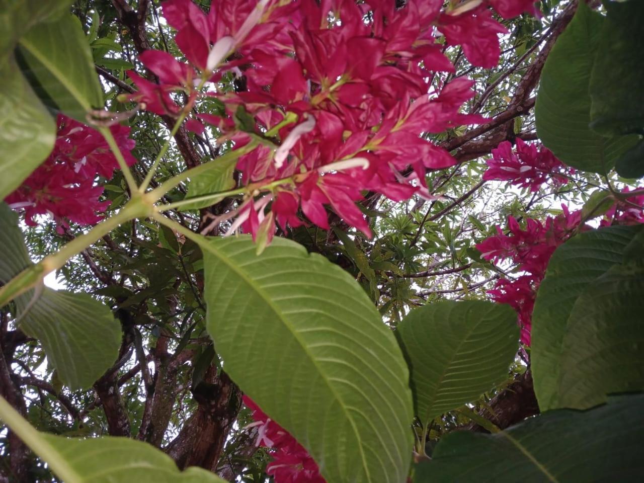 Casa Finca El Rosario San Marcos  Eksteriør bilde